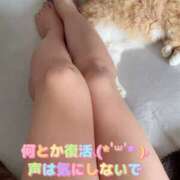 ヒメ日記 2026/02/26 10:06 投稿 さき club さくら日本橋店