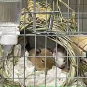 ヒメ日記 2026/03/16 10:06 投稿 さき club さくら日本橋店