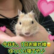 ヒメ日記 2026/03/17 22:57 投稿 さき club さくら日本橋店