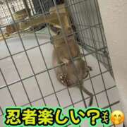 ヒメ日記 2026/04/08 09:56 投稿 さき club さくら日本橋店