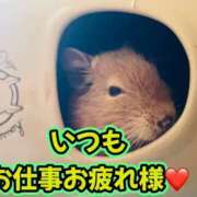 ヒメ日記 2026/05/22 23:36 投稿 さき club さくら日本橋店