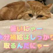 ヒメ日記 2026/07/16 13:06 投稿 さき club さくら日本橋店