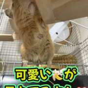 ヒメ日記 2026/07/24 10:06 投稿 さき club さくら日本橋店