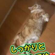ヒメ日記 2026/07/28 10:00 投稿 さき club さくら日本橋店