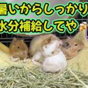 ヒメ日記 2026/08/14 10:00 投稿 さき club さくら日本橋店