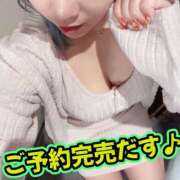さき さき（clubさくら日本橋店） club さくら日本橋店