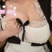 ヒメ日記 2026/06/14 14:09 投稿 小白 BBW（ビッグビューティフルウーマン）