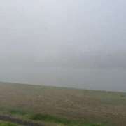 ヒメ日記 2025/11/26 10:58 投稿 かえで ニューティアラ