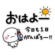 ヒメ日記 2026/04/24 07:22 投稿 かえで ニューティアラ