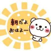 ヒメ日記 2026/05/16 07:18 投稿 かえで ニューティアラ