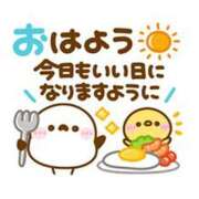 ヒメ日記 2026/06/29 06:30 投稿 かえで ニューティアラ