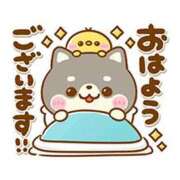 ヒメ日記 2026/07/07 06:45 投稿 かえで ニューティアラ
