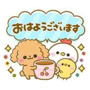 ヒメ日記 2026/07/28 07:01 投稿 かえで ニューティアラ