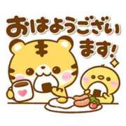 ヒメ日記 2026/08/10 07:15 投稿 かえで ニューティアラ