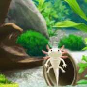 ヒメ日記 2025/10/23 06:09 投稿 朝月 BBW（ビッグビューティフルウーマン）