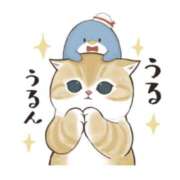 ヒメ日記 2025/05/03 18:33 投稿 めぐみ シンデレラ【平均年齢20才、風俗未経験の娘が8割以上】