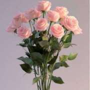 ヒメ日記 2025/05/31 16:57 投稿 めぐみ シンデレラ【平均年齢20才、風俗未経験の娘が8割以上】