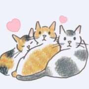 ヒメ日記 2025/06/14 04:03 投稿 めぐみ シンデレラ【平均年齢20才、風俗未経験の娘が8割以上】