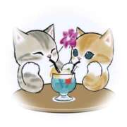 ヒメ日記 2025/08/15 00:15 投稿 めぐみ シンデレラ【平均年齢20才、風俗未経験の娘が8割以上】