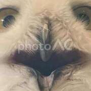 ヒメ日記 2025/08/24 10:50 投稿 あきな 全力！！乙女坂46(古町)