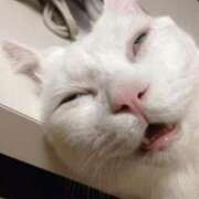 ヒメ日記 2025/08/24 17:43 投稿 あきな 全力！！乙女坂46(古町)