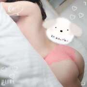 ヒメ日記 2025/02/02 13:00 投稿 あんな ドMバスターズ岡崎・安城・豊田店