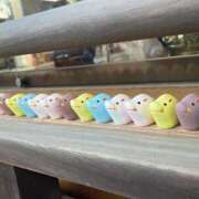 ヒメ日記 2025/03/20 15:19 投稿 あんな ドMバスターズ岡崎・安城・豊田店