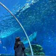 ヒメ日記 2025/04/15 14:55 投稿 あんな ドMバスターズ岡崎・安城・豊田店