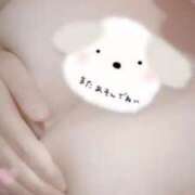 ヒメ日記 2025/04/23 02:32 投稿 あんな ドMバスターズ岡崎・安城・豊田店