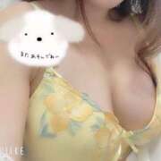 ヒメ日記 2025/04/30 14:12 投稿 あんな ドMバスターズ岡崎・安城・豊田店