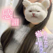 ヒメ日記 2026/03/19 21:11 投稿 しいな abc＋