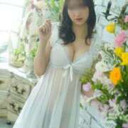 ヒメ日記 2025/03/29 18:14 投稿 新井まどか メリッサ東京 品川店