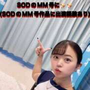 ヒメ日記 2025/03/13 16:01 投稿 ゆあん 秒即DE舐めてミント