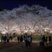 ヒメ日記 2025/04/09 18:29 投稿 ひな もしもし亀よ亀さんよ 名古屋店