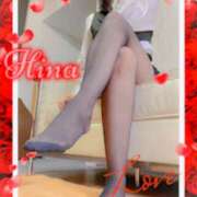 ヒメ日記 2025/04/17 17:28 投稿 ひな もしもし亀よ亀さんよ 名古屋店