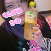 ヒメ日記 2025/05/17 18:37 投稿 ひな もしもし亀よ亀さんよ 名古屋店