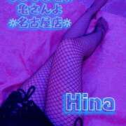 ヒメ日記 2025/10/30 16:38 投稿 ひな もしもし亀よ亀さんよ 名古屋店