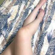 ヒメ日記 2025/11/18 18:50 投稿 ひな もしもし亀よ亀さんよ 名古屋店