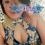 ヒメ日記 2025/11/28 14:39 投稿 ひな もしもし亀よ亀さんよ 名古屋店