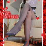 ヒメ日記 2026/01/11 16:19 投稿 ひな もしもし亀よ亀さんよ 名古屋店