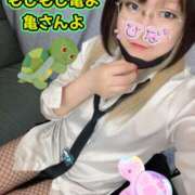 ヒメ日記 2026/01/24 22:16 投稿 ひな もしもし亀よ亀さんよ 名古屋店