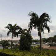 ヒメ日記 2025/11/07 16:18 投稿 ゆうか 沖縄素人図鑑