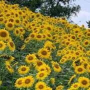 ヒメ日記 2025/07/18 08:09 投稿 さわ 多治見・土岐・春日井ちゃんこ