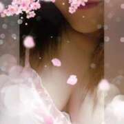 ヒメ日記 2026/03/02 12:09 投稿 さわ 多治見・土岐・春日井ちゃんこ