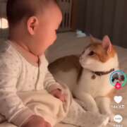 ヒメ日記 2025/10/12 11:05 投稿 あみ 川崎・東横人妻城