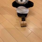 ヒメ日記 2026/05/11 20:15 投稿 あみ 川崎・東横人妻城