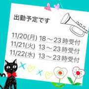 ヒメ日記 2023/11/19 18:00 投稿 梅園みさき ミセス大阪十三店