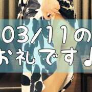 ヒメ日記 2025/03/12 16:33 投稿 梅園みさき ミセス大阪十三店