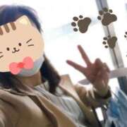 ヒメ日記 2025/03/24 14:53 投稿 梅園みさき ミセス大阪十三店