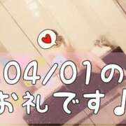 ヒメ日記 2025/04/02 14:15 投稿 梅園みさき ミセス大阪十三店